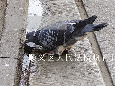 顺义区人民法院执行局怎么样