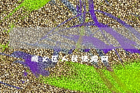 顺义区人民法院网 顺义区人民法院网