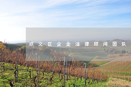 顺义区企业法律顾问团队 顺义区企业法律顾问团队