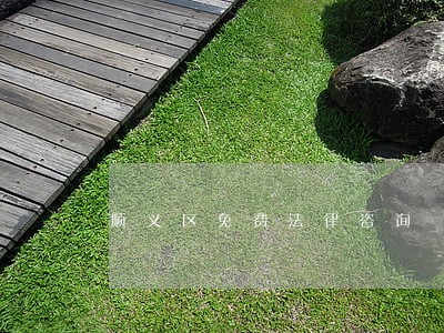 顺义区免费法律咨询 顺义区免费法律咨询