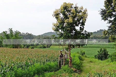 顺义区农村土地律师