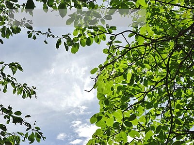 顺义区房产律师所 顺义区房产律师所