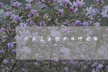 顺义区房地产律师团队 顺义区房地产律师团队