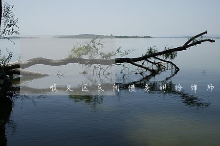 顺义区民间债务纠纷律师 顺义区民间债务纠纷律师