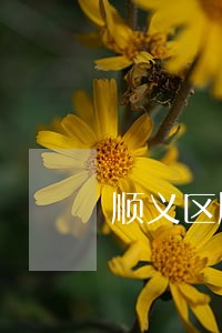 顺义区股权激励律师怎么收费 顺义区股权激励律师怎么收费