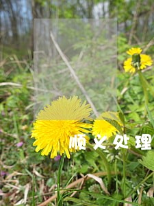顺义处理劳动纠纷的律师延庆 顺义处理劳动纠纷的律师延庆