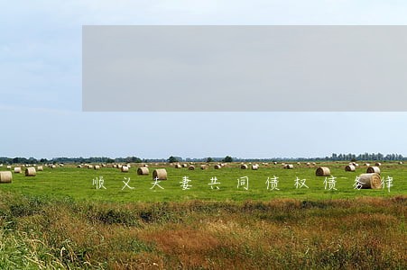 顺义夫妻共同债权债务律师北京 顺义夫妻共同债权债务律师北京