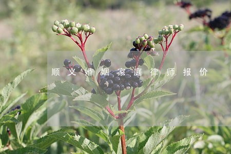 顺义婚姻家庭律师报价 顺义婚姻家庭律师报价