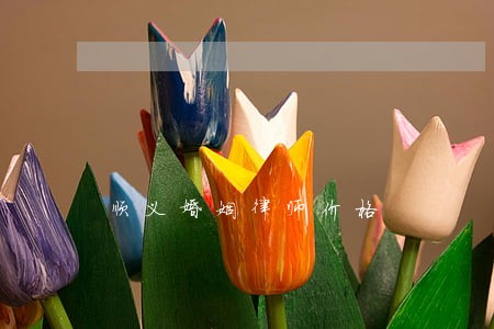 顺义婚姻律师价格 顺义婚姻律师价格