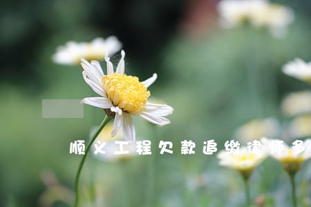 顺义工程欠款追缴律师多少钱 顺义工程欠款追缴律师多少钱