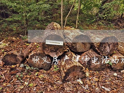 顺义房产律师电话西城 顺义房产律师电话西城