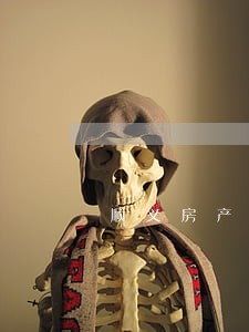 顺义房产案律师起诉二审 顺义房产案律师起诉二审