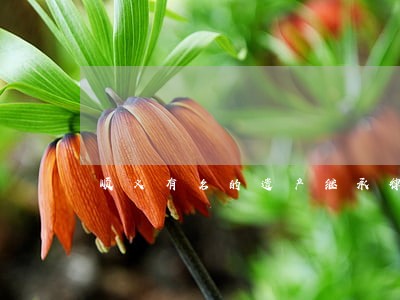 顺义有名的遗产继承律师电话 顺义有名的遗产继承律师电话