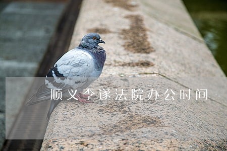 顺义李遂法院办公时间 顺义李遂法院办公时间