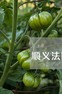 顺义法院书记员招聘信息