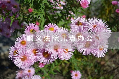 顺义法院几点办公