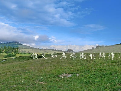 顺义知名炜衡刑辩律师在线 顺义知名炜衡刑辩律师在线