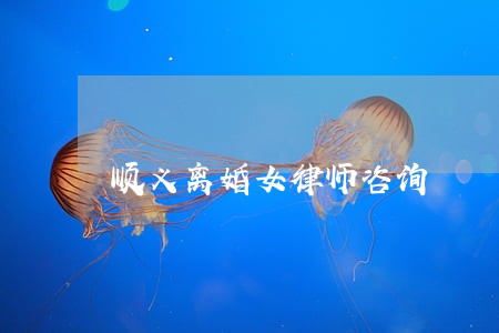 顺义离婚女律师咨询 顺义离婚女律师咨询