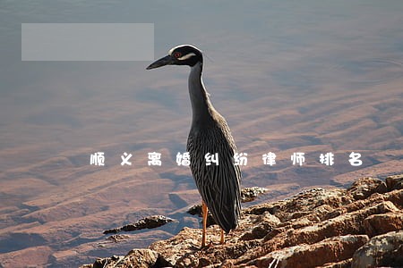 顺义离婚纠纷律师排名 顺义离婚纠纷律师排名