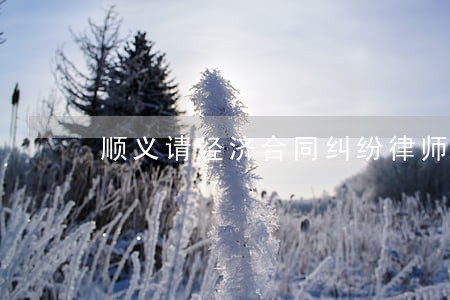 顺义请经济合同纠纷律师 顺义请经济合同纠纷律师