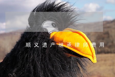 顺义遗产继承律师费用 顺义遗产继承律师费用