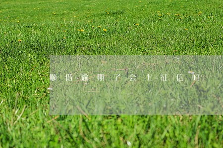 顺借逾期了会上征信吗 顺借逾期了会上征信吗