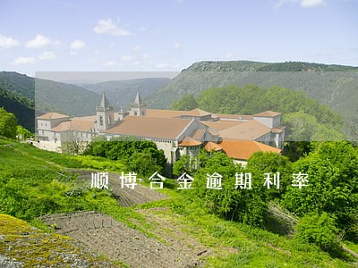 顺博合金逾期利率 顺博合金逾期利率