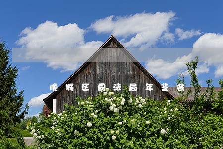 顺城区司法局年鉴会 顺城区司法局年鉴会