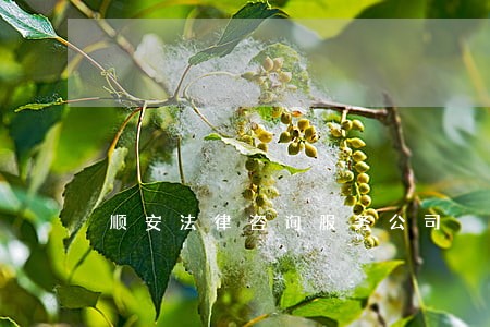 顺安法律咨询服务公司 顺安法律咨询服务公司