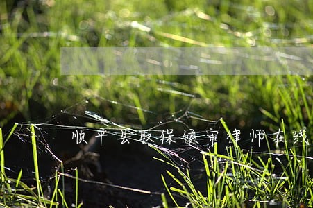 顺平县取保候审律师在线免费咨询 顺平县取保候审律师在线免费咨询