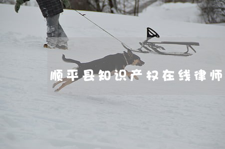 顺平县知识产权在线律师 顺平县知识产权在线律师