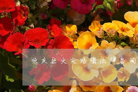 顺庆区火灾赔偿法律咨询热线 顺庆区火灾赔偿法律咨询热线