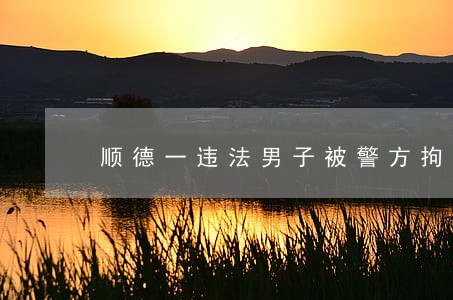 顺德一违法男子被警方拘留10天 顺德一违法男子被警方拘留10天