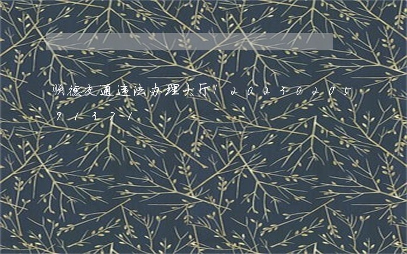 顺德交通违法办理大厅/2023020591371 顺德交通违法办理大厅/2023020591371
