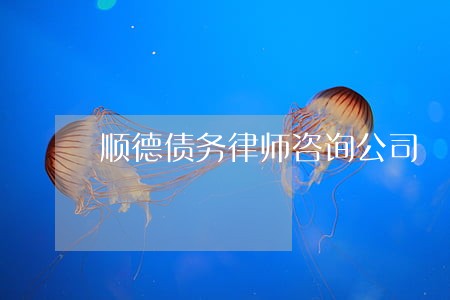 顺德债务律师咨询公司 顺德债务律师咨询公司