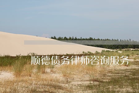 顺德债务律师咨询服务 顺德债务律师咨询服务