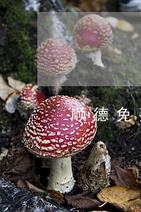 顺德免费法律咨询热线 顺德免费法律咨询热线
