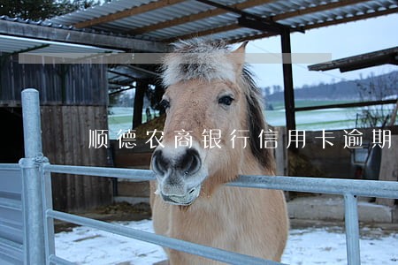 顺德农商银行信用卡逾期一个月了 顺德农商银行信用卡逾期一个月了