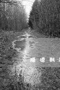顺德刑事拘留辩护律师收费标准