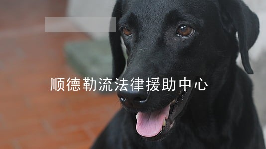 顺德勒流法律援助中心 顺德勒流法律援助中心