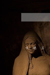 顺德区专业律师团 顺德区专业律师团