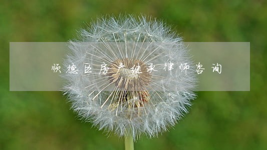 顺德区房产继承律师咨询 顺德区房产继承律师咨询