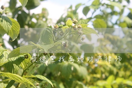 顺德区找离婚财产律师 顺德区找离婚财产律师