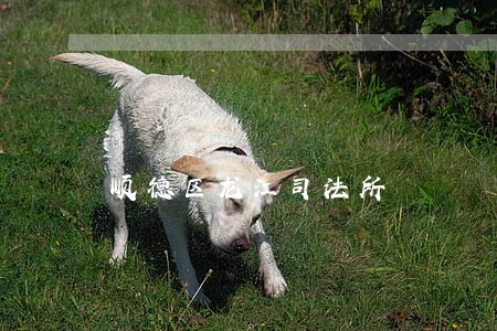 顺德区龙江司法所 顺德区龙江司法所