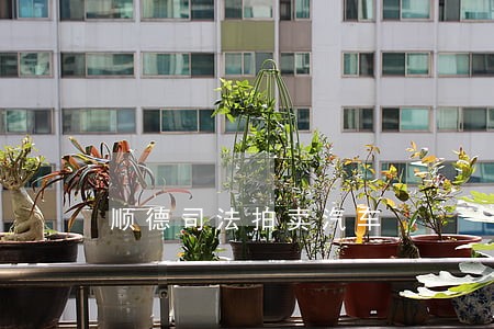 顺德司法拍卖汽车 顺德司法拍卖汽车