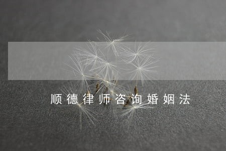 顺德律师咨询婚姻法 顺德律师咨询婚姻法