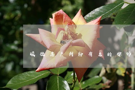 顺德房产纠纷有名的律师 顺德房产纠纷有名的律师