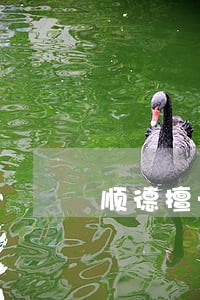 顺德擅长合同纠纷的律师怎么收费