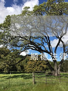 顺德法律咨询案例 顺德法律咨询案例
