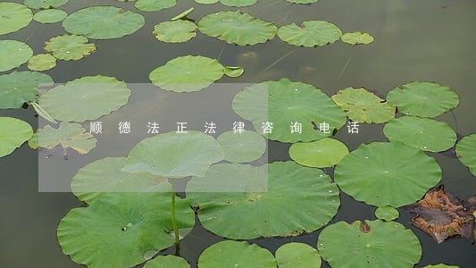 顺德法正法律咨询电话 顺德法正法律咨询电话